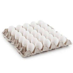 White Eggs-Tray (30 Eggs)-Tray (30 Eggs)