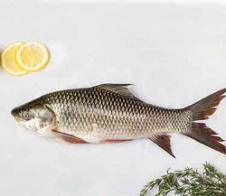 Fresh Rohu Fish cleaned-500gms-500gms